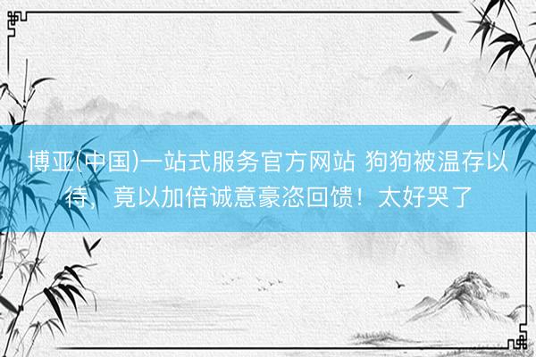 博亚(中国)一站式服务官方网站 狗狗被温存以待，竟以加倍诚意豪恣回馈！太好哭了