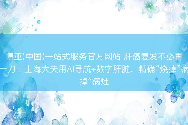 博亚(中国)一站式服务官方网站 肝癌复发不必再挨一刀！上海大夫用AI导航+数字肝脏，精确“烧掉”病灶