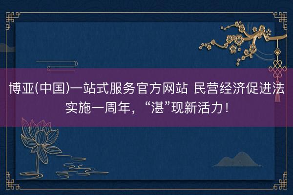 博亚(中国)一站式服务官方网站 民营经济促进法实施一周年,“湛”现新活力!