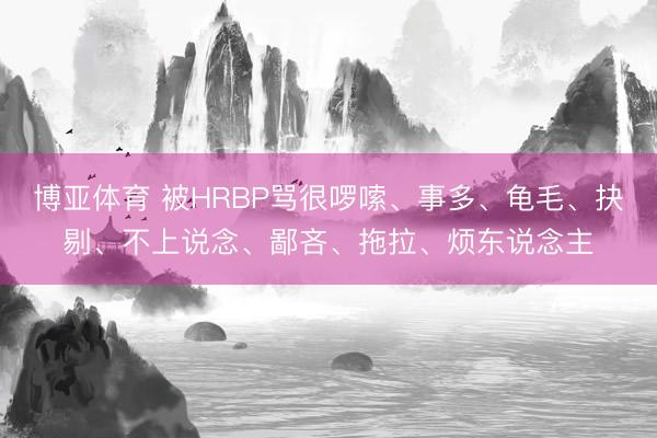 博亚体育 被HRBP骂很啰嗦、事多、龟毛、抉剔、不上说念、鄙吝、拖拉、烦东说念主