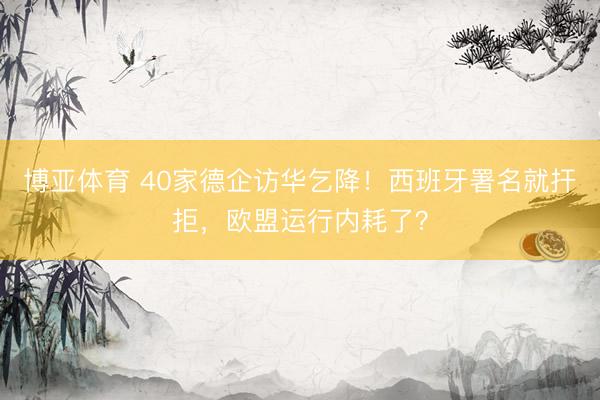 博亚体育 40家德企访华乞降!西班牙署名就扞拒,欧盟运行内耗了?