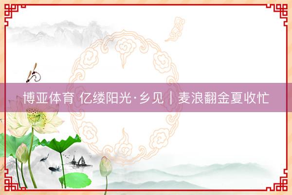 博亚体育 亿缕阳光·乡见｜麦浪翻金夏收忙
