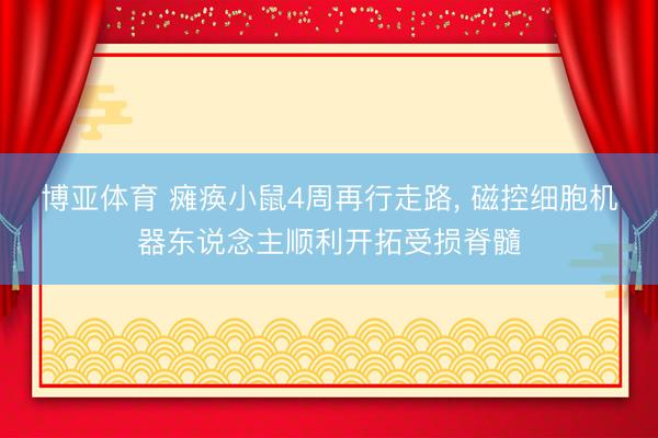 博亚体育 瘫痪小鼠4周再行走路, 磁控细胞机器东说念主顺利开拓受损脊髓