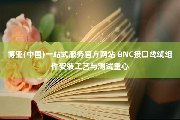 博亚(中国)一站式服务官方网站 BNC接口线缆组件安装工艺与测试重心